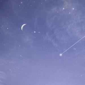 国产国语一级毛片在线视频
